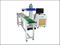 Online flying CO2 laser marking machine for production line